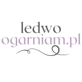 Ledwo Ogarniam - strona główna