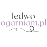 LedwoOgarniam.pl - strona główna
